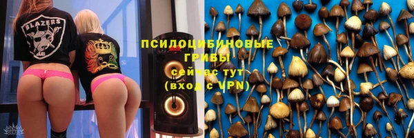 a pvp Валдай