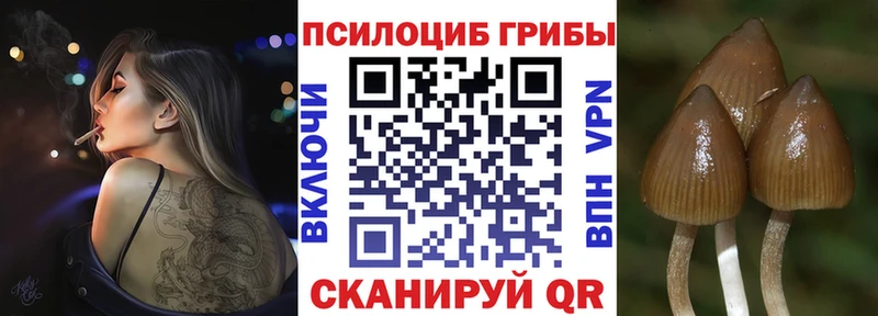 мега маркетплейс  Барыш  Псилоцибиновые грибы MAGIC MUSHROOMS 